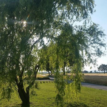 B&B Le Rose Spello Bagian luar foto