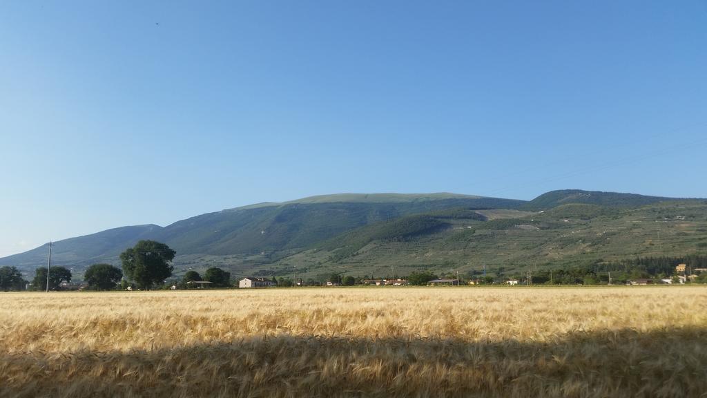 B&B Le Rose Spello Bagian luar foto