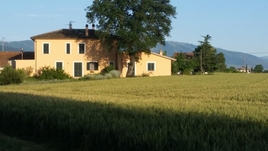 B&B Le Rose Spello Bagian luar foto