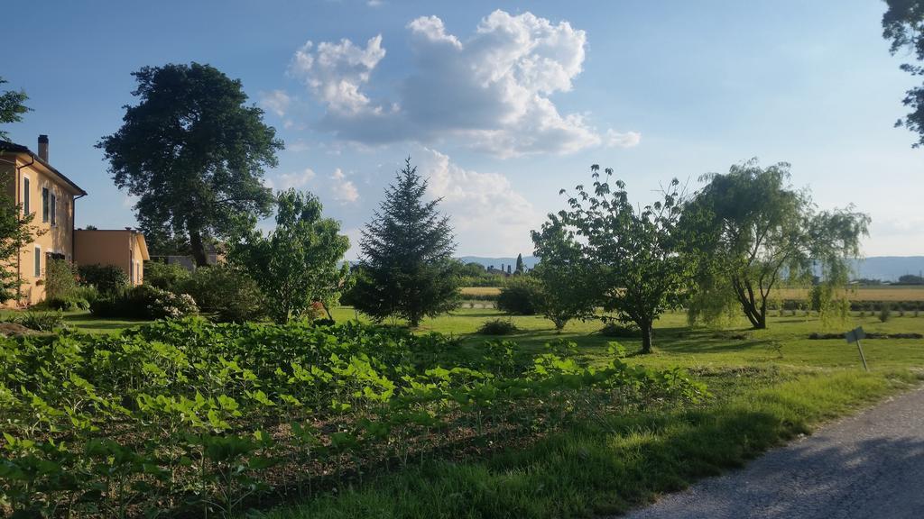 B&B Le Rose Spello Bagian luar foto