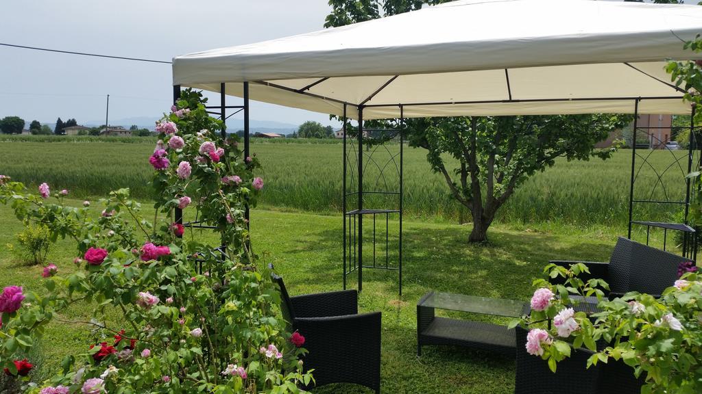 B&B Le Rose Spello Bagian luar foto