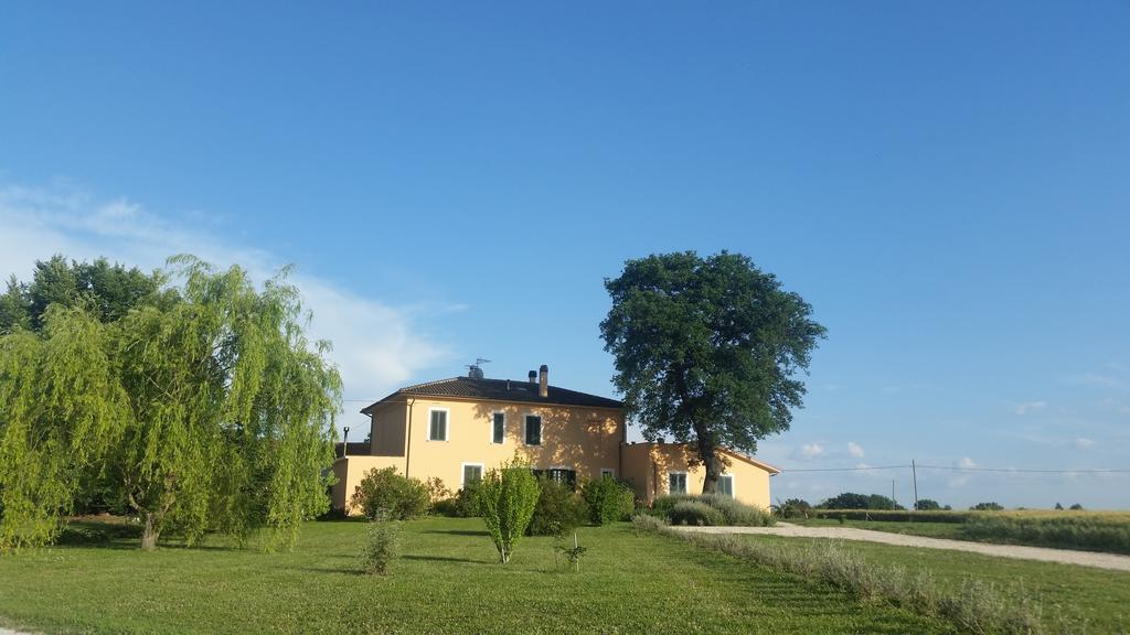 B&B Le Rose Spello Bagian luar foto